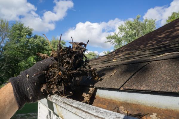 A-hand-wearing-a-protective-glove-pulling-debris-from-gutter